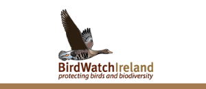 Birdwatch Ireland